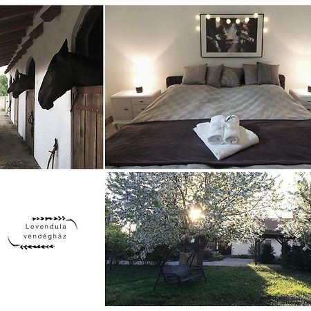 Levendula Vendeghaz Hotel Borsodivánka Buitenkant foto