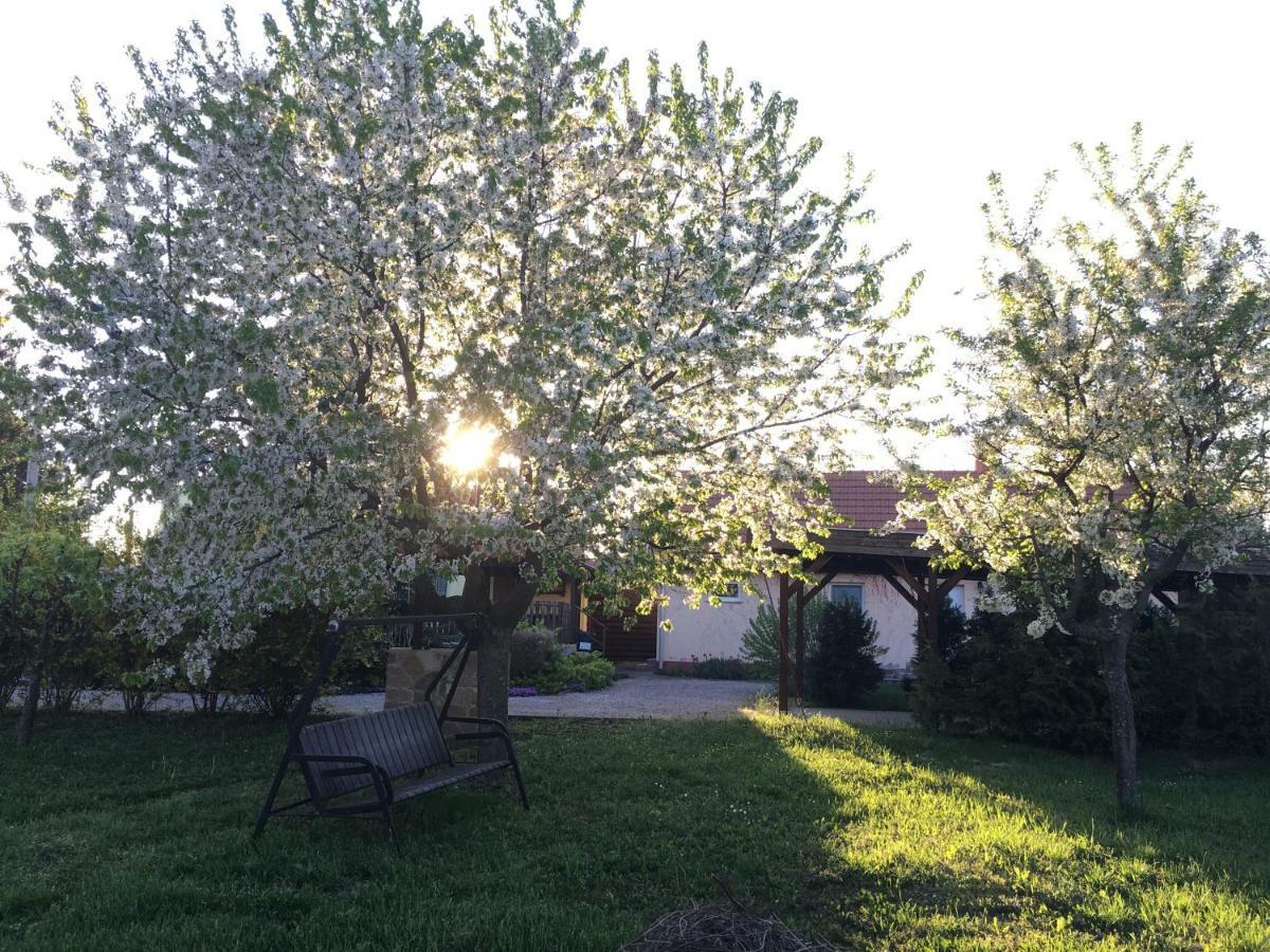 Levendula Vendeghaz Hotel Borsodivánka Buitenkant foto