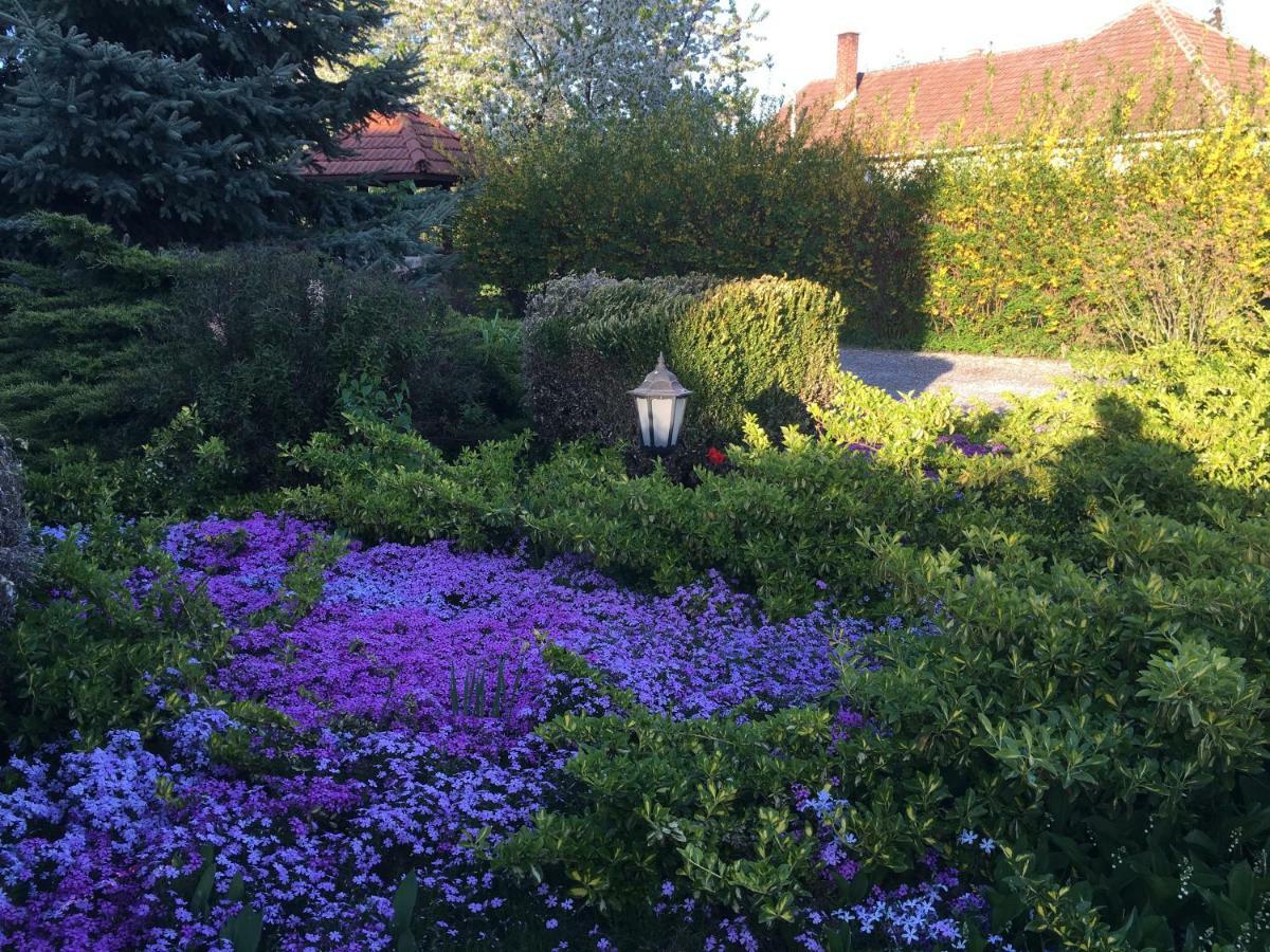 Levendula Vendeghaz Hotel Borsodivánka Buitenkant foto